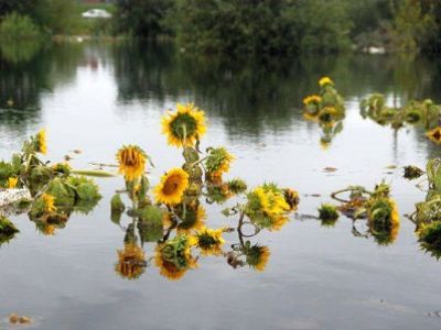 Наводнение в Амурской области. Фото: Facebook Сергея Лунина