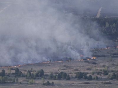 Пожар вблизи от ЧАЭС. Фото: ntv.ru