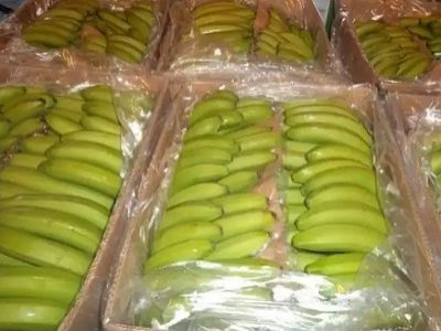 Упаковки зеленых бананов. Источник - http://mastino-odessa.livejournal.com/